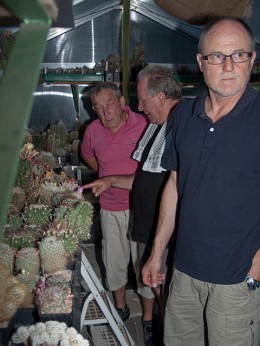  Kakteenhock bei Connie & Dieter 2013